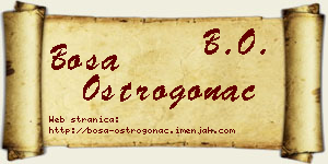 Bosa Ostrogonac vizit kartica